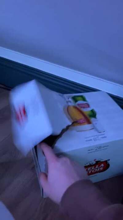 He’s found the perfect ambush spot