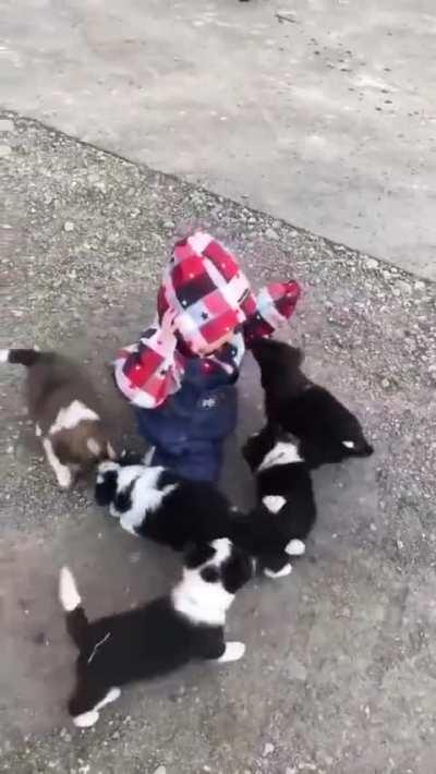 MembErS of CaNine faMIly EngulFinG an InnOCent ChILd