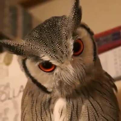 Нахмурился...