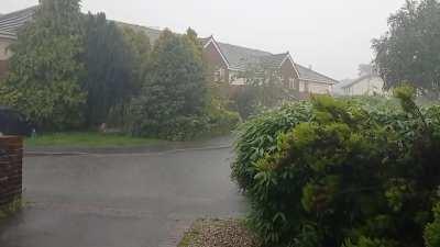 I sat and watched it for about 40 minutes