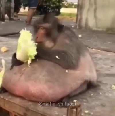 😳😳😳😳😳😳