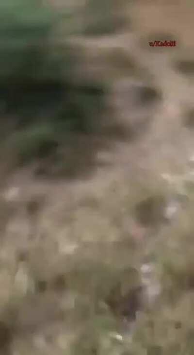 Kesin para cezası ile salınmıştır