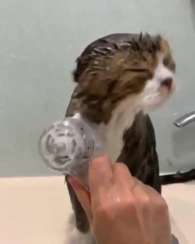 It seems to me that he did not want to shower ð 