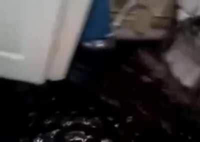 moldy and dirty 😳