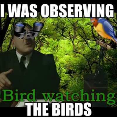 Do you like how I post