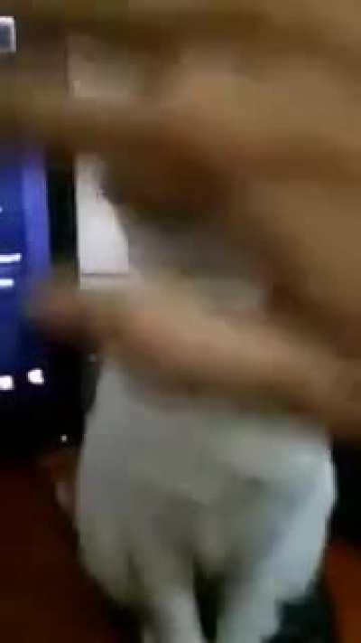 Котя поломался