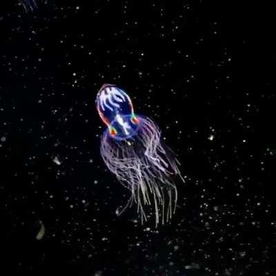 so pretty yet oddly scary