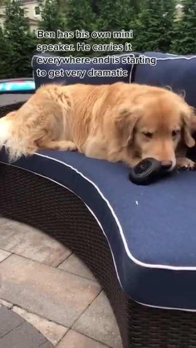 Maybe he was a musician in a past life