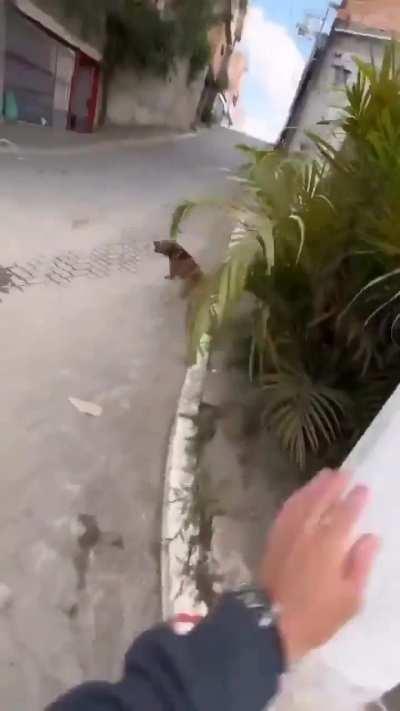 Cuando se invierten los roles y quedas: WTF!