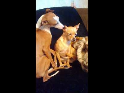 Forever is not long enough.