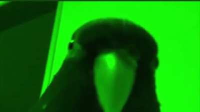 Randomly found this on Twitter