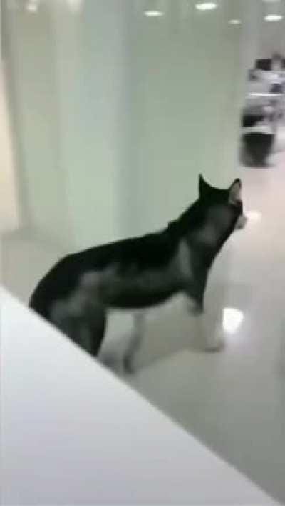 When you want to have a calm meal.