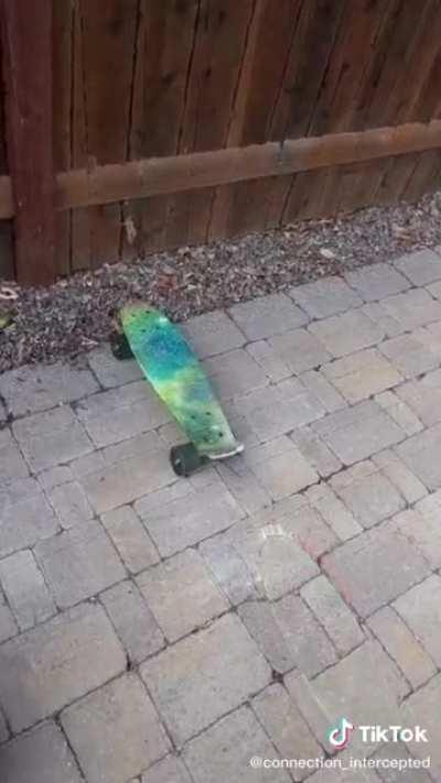 Se bugio el universo