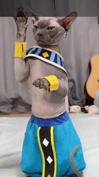 Beerus