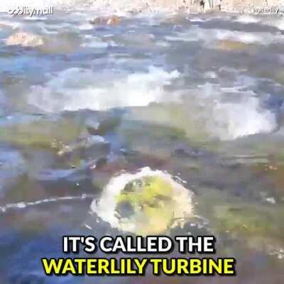 Portable Off-Grid Wind and Water Turbine