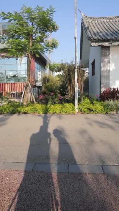 Don't make a sound.....