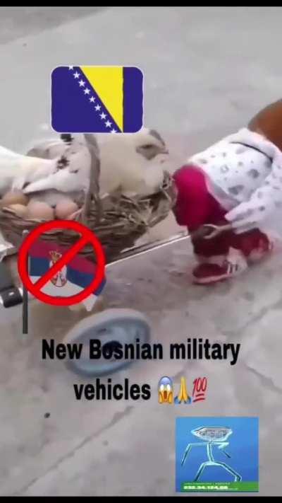 MASHALLA SERVIA IS DOOMED 💪💪💪💪