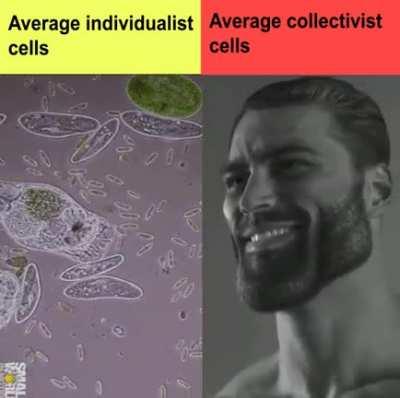 Rare AuthLeft agenda post