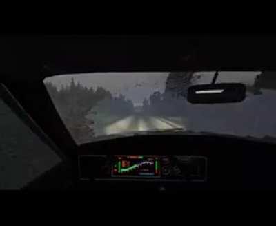 average polish driver