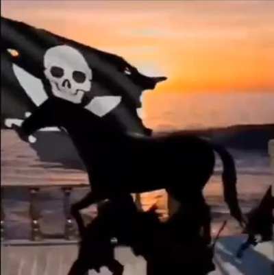 wojak treasure: damn gassy