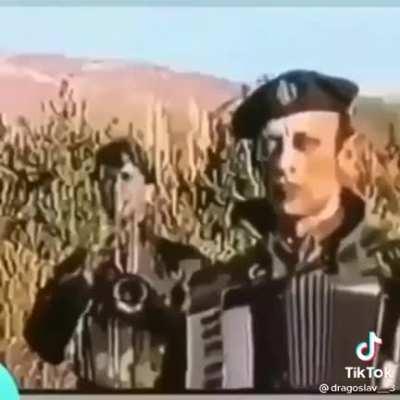 the most peaceful srpski trio