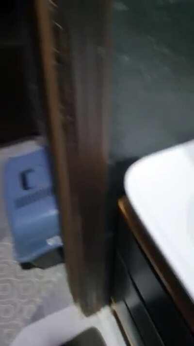 Can't shit in detroit mfing parents took the foor