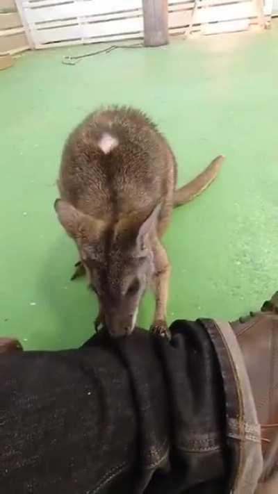 How our day ended ❤️