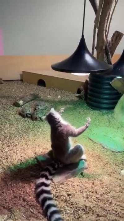 king julian in action