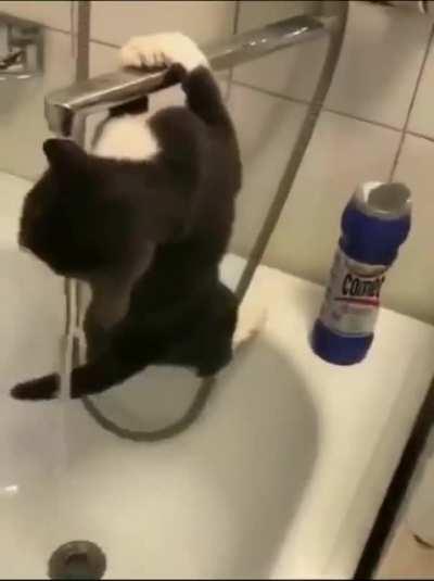 ele n&atilde;o consegue