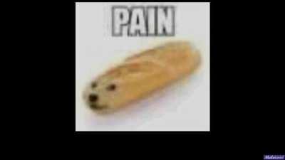 So i forced a IA to make a song with this image and idk where i can post this so i tought that this can fit here because you know there is a doge, enjoy the art or tell me where i can post this