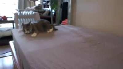 Skooma's a hell of a drug.