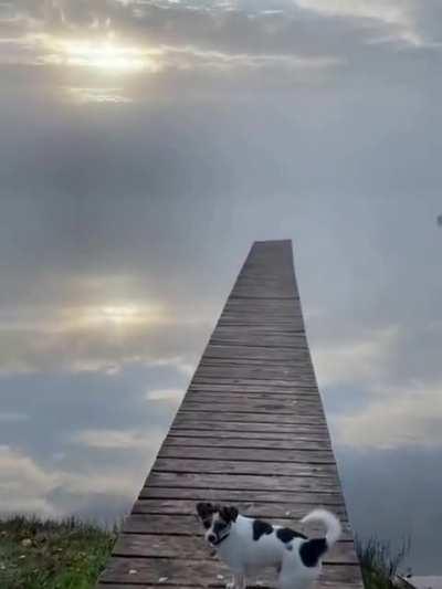 Ladder to the sky in Latvia