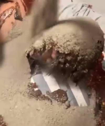 Loser city sleepover