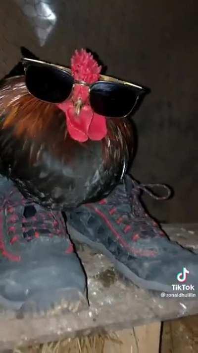 discordVideos - Video #3401