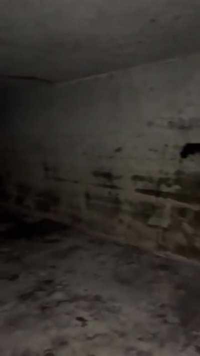 Working 4 stories below Manhattan today. The noises are terrifying