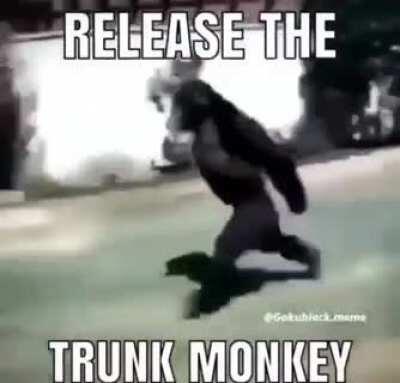 Monke