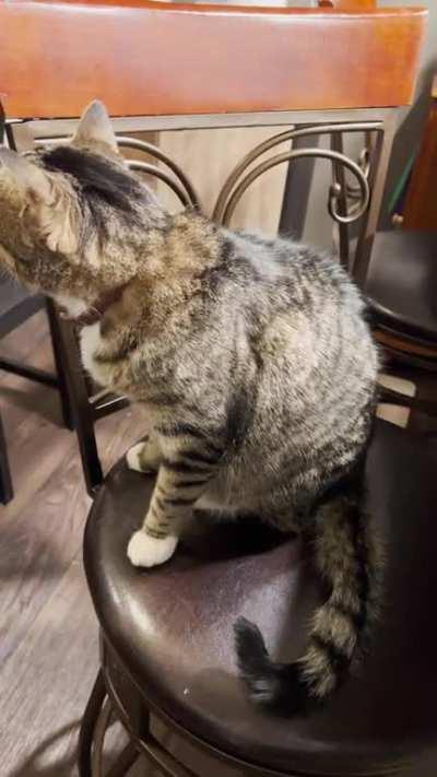 Letting me know I’m late on their breakfast. Again.