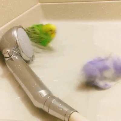 Party at the waterpark