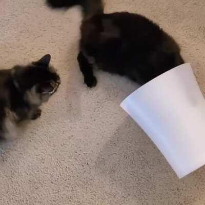 I would really like him to explain himself.