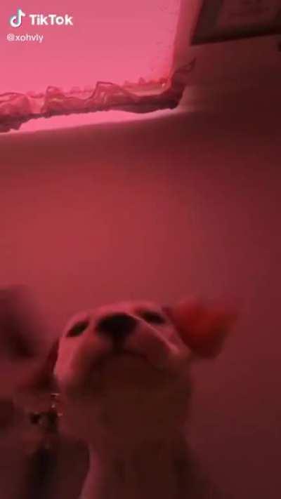 He do be vibing tho 😳