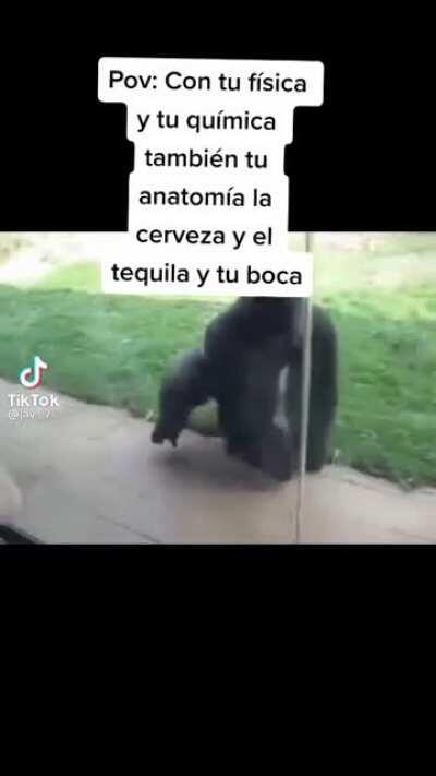 Contufisicaytuquimicatambientuanatomialacervezayeltequilaytubocaconlamia
