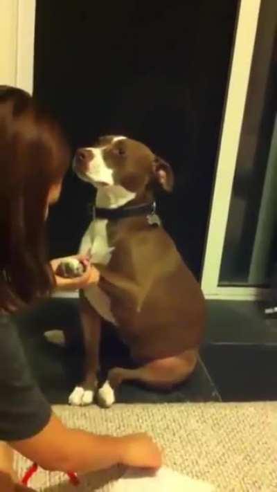 The fear in his eyes (not my post)