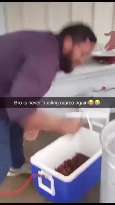 The other crabs won't believe them