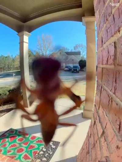 Got Jumpscared by this MF Today