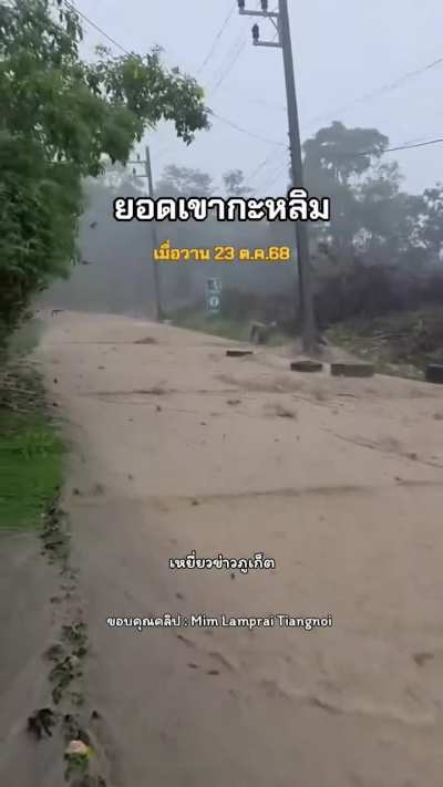 sometime these marine enemies form troops horizontally