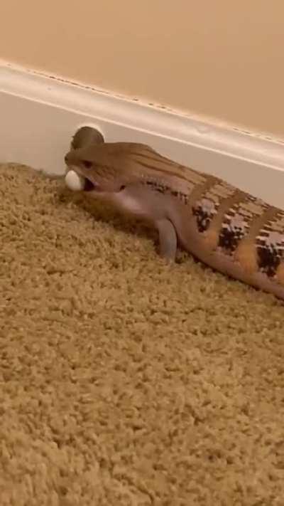 *poiiiiiinnnnnnnnng*