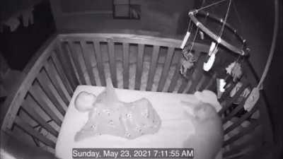 Cats can be protective too