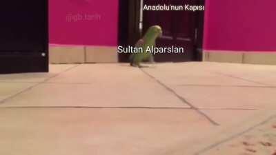 Sultan Alparslan Anadolu'nun kapısını araladıktan sonra sevinç kahkaları atıyor