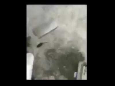 Me 10 seconds before the lobotomy 😂🤓😭🦅💀