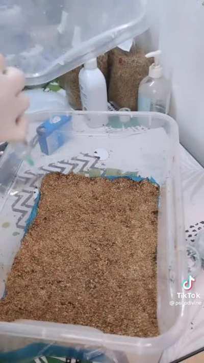 Anybody seen this tek before?